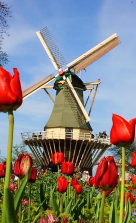 Niederlande